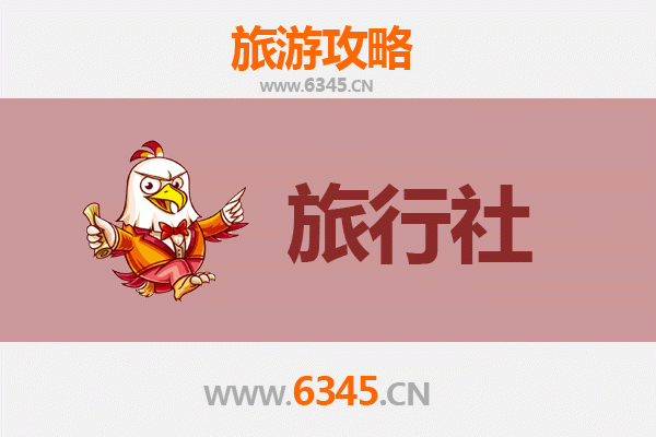 阿拉善右旗旅行社全攻略：精选本地社，畅游大漠奇景