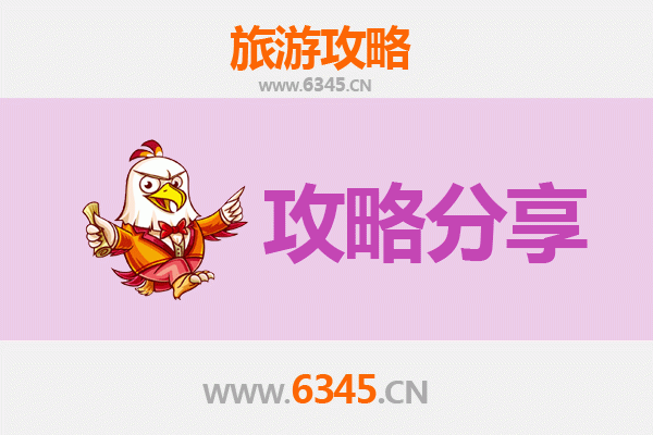 阿拉善右旗旅游攻略：跟团与自由行深度对比