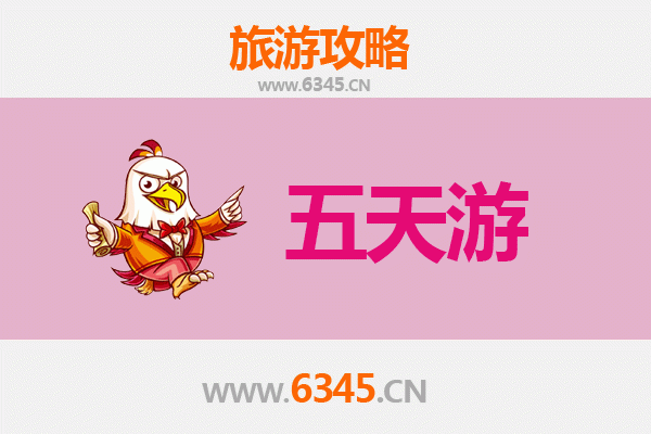阿拉善右旗五天四夜深度游攻略：沙漠探险与文化体验