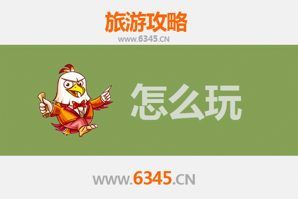 节假日探秘阿拉善右旗：沙漠奇遇与草原风情全攻略
